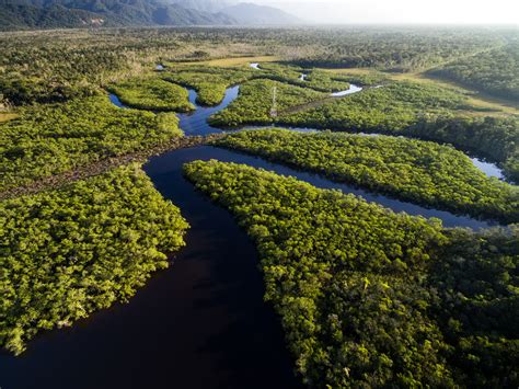 Best Time to Visit the Amazon
