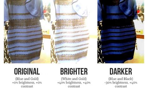 scientists reveal   colour   dress divided opinion daily