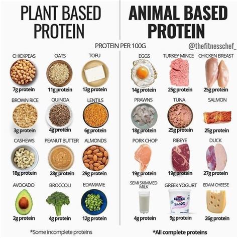 amount  protein     foods rcoolguides