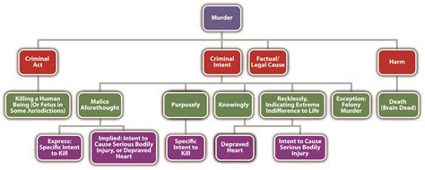 murder criminal law