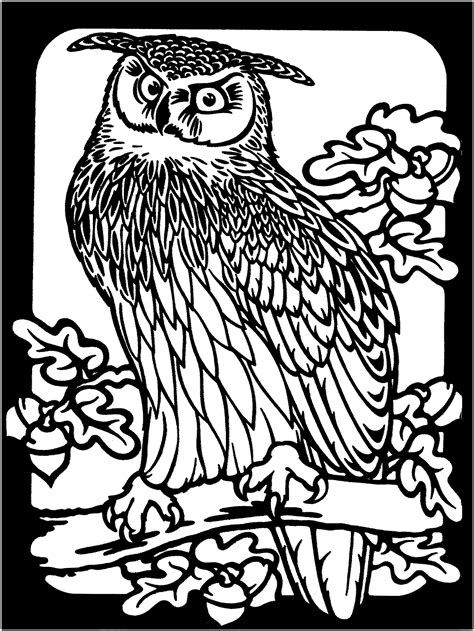 printable coloring pages  owls printable world holiday