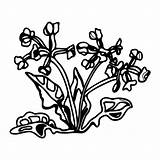 Flower Flowers Coloring Pages sketch template