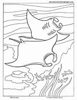 Coloring Pages Sea Ocean Printable Stingray Kids Ray Manta Colouring Book Seashore Life Animal Cuttlefish Clipart Color Animals Sheets Getcolorings sketch template