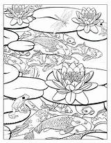 Pond Coloring Koi Pages Waterfall Colouring Fish Adults Drawing Ponds Adult Printable Book Template Color Getdrawings Getcolorings Kuvahaun Tulos Lotus sketch template