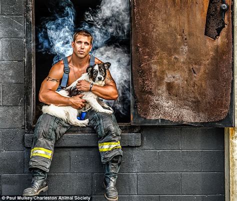 shirtless firefighters pose with puppies for 2015 charity calendar daily mail online