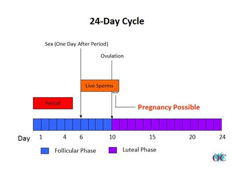 can you get pregnant from having sex on your period porn mms