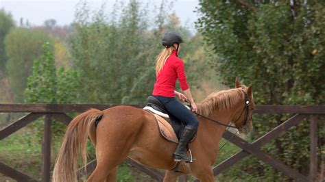 sporty female jockey practice riding stock footage sbv  storyblocks