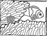 Fish Clown Coloring Pages Printable Clownfish Clipart Categories sketch template
