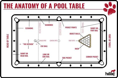 anatomy   pool table pool cues  billiards supplies  pooldawgcom diy pool table