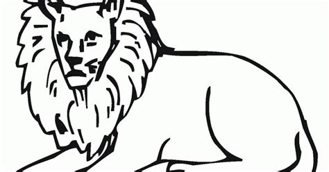 kids page lion  kids coloring pages