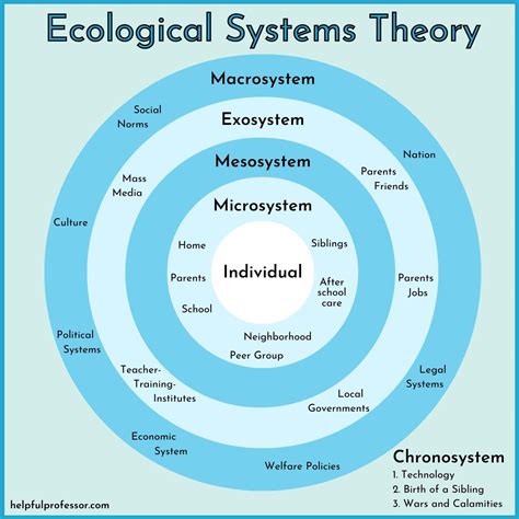 ecological perspective definition  examples