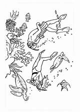 Diving Dive Coloring Plunge Edupics sketch template