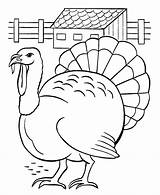 Turkey Coloring Pages Printable Kids Thanksgiving Farm Easy Scenes Bestcoloringpagesforkids Children Printables sketch template