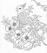 Nature Coloring Pages 컬러링 Adult 색칠 Adults 도안 공부 Book 그림 Color Para 시트 Harmony Pg Printable Sheets Pattern Patterns sketch template