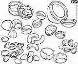 Nuts Seeds Coloring Pages Food Ingredients Printable Getdrawings Drawing Gif sketch template