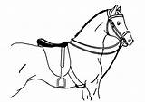 Horse Coloring Saddled Large sketch template