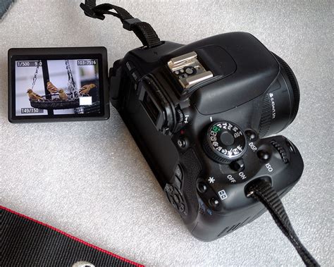 cameras  flip  screens canon nikon digital cameras northwest picture maker