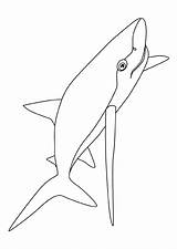 Requin Kleurplaten Haaien Haie Kleurplaat Shark Animaatjes Haai Hugolescargot Poisson Colorier Mer Hugo Melted Coloriages Intarsia Choisir sketch template
