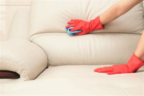 basic sofa cleaning tips  design journal