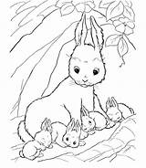 Coloring Bunny Pages Rabbit Baby Bunnies Drawing Cute Color Colouring Kids Printable Clipart Lapin Print Draw Jessica Coloriage Rabbits Easter sketch template