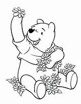 Bear Pooh Coloring Pages Baby Getcolorings sketch template