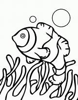 Coral Reef Coloring Pages Barrier Great Drawing Fish Kids Color Printable Print Getdrawings Popular sketch template