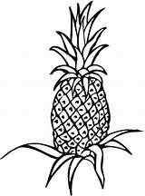 Coloring Pineapple Pages Fruit Popular sketch template