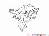 Coloring Bud Sheets Pages Kids Sheet Title Coloringpagesfree Flower sketch template