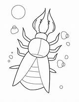 Bugs Escarabajo Beetle Insecte Escarabajos Belle Pintarcolorear Animalplace sketch template
