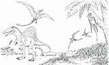 Spinosaurus Espinossauro Ausmalbilder Gratuitamente Ausmalen Raskrasil Dinosauri Mondo sketch template