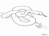 Viper Pages Snake Coloring Getcolorings Ninjago Snakes Printable sketch template