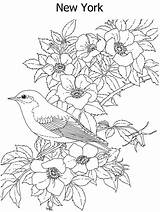 Coloring Pages Bird Flower State Difficult Printable Color York Hard Flowers Birds Colouring Print Adult Animal Kidzone Ws Kids Drawings sketch template