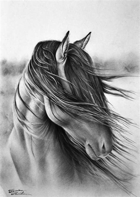 realistic horse coloring pages  adults   time
