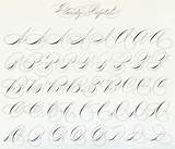 Spencerian Capitals Penmanship Dpi Cursive sketch template