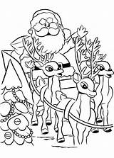 Rudolph Reindeer Coloriage Rudolf Ausmalbilder Rentier Ausmalbild Natale Babbo Renne Nosed Nase Roten Colorir Nariz Rena Sleigh Info Naso Reno sketch template