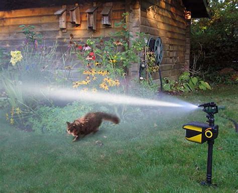 top   motion activated sprinklers   reviews  update