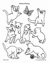 Kittens Playing Coloring Sponsors Wonderful Support Please sketch template