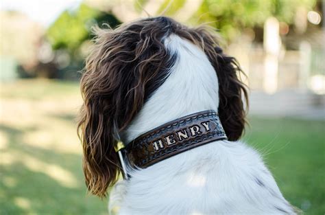 personalized leather collar personalised leather dog collar high quality dog collar dog