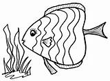 Fish Puffer Drawing Getdrawings sketch template