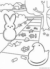 Coloring Peeps Pages Marshmallow Printable Easter Coloring4free Color Print Kids Info Book Cartoon Related Posts Getcolorings Popular Fun sketch template