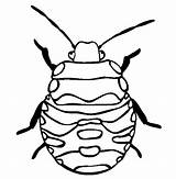 Stink Insect Insetos Beetle Pintar Pintarcolorir Insects Aphids Designlooter sketch template