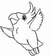 Parrot Coloring Pages Flying Printable Kids sketch template