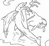 Dolphins Playing Coloring Coloringcrew sketch template