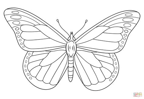 dibujo de mariposa monarca  colorear dibujos  colorear