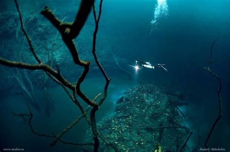 sungai  laut keindahan bawah laut