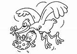 Baby Stork Clipart Disegno Colorare Nascita Library Coloring Pages Da sketch template