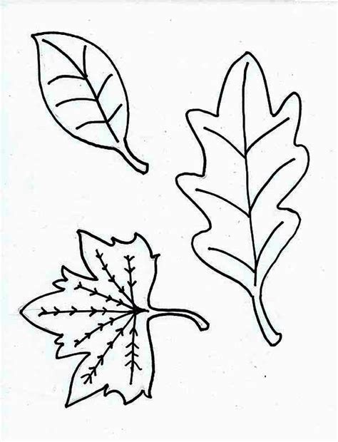 autumn leaf image coloring page  print  coloring
