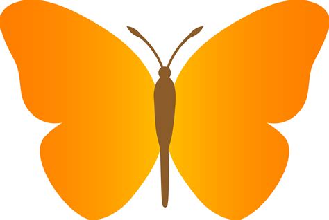 simple butterfly drawing clipart
