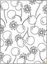 Coloring Pages Cherry Cherries Flowers Printable Blossom Pattern Clipart Categories Drawing Similar Malvorlagen Library Popular Styles Book sketch template