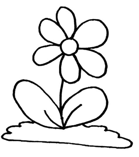 anycoloringcom printable flower coloring pages flower coloring